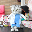 Väga lahedad kostüümid lemmikloomale