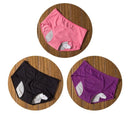 DearWear™ 3x lekkimiskindel pesu menstruatsiooni ajaks