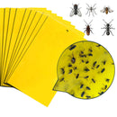 Tugeva kahepoolese liimiga putukapüüdja 20tk