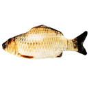 Elektrooniliselt siputav kala + catnip